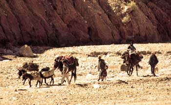 Bereberes de los valles del Atlas Foto: Toni Nogales