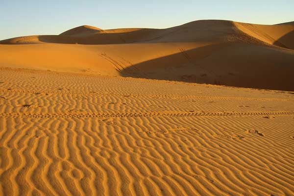 Dunas del sur marroquí. Erg Chebbi