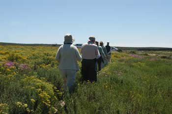 Caminando por Namaqualand, Sudafrica. Foto: Toni Nogales