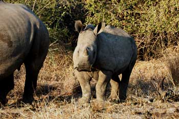 Viaje a Ciudad del Cabo, Sudafrica. Foto: Toni Nogales.
