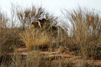 Viaje a Ciudad del Cabo, Sudafrica. Foto: Toni Nogales.