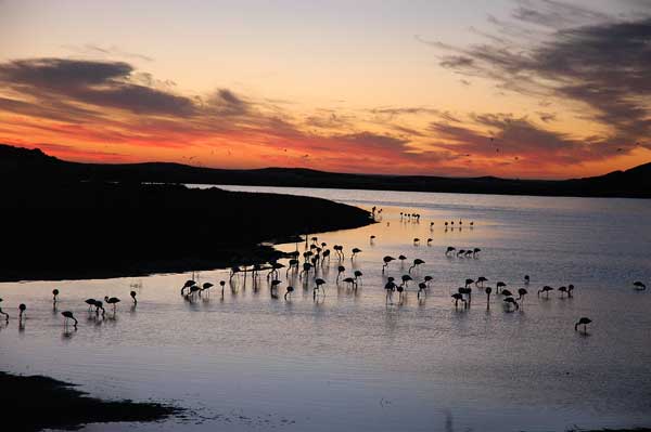 Atardecer en la costa Atlántica de Sudáfrica. Foto: Toni Nogales
